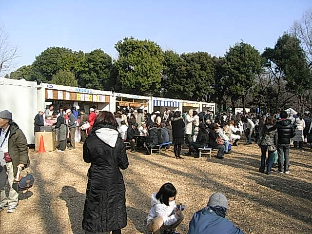 羽根木公園 せたがや梅まつり 今日の下高井戸 07年から18年まで