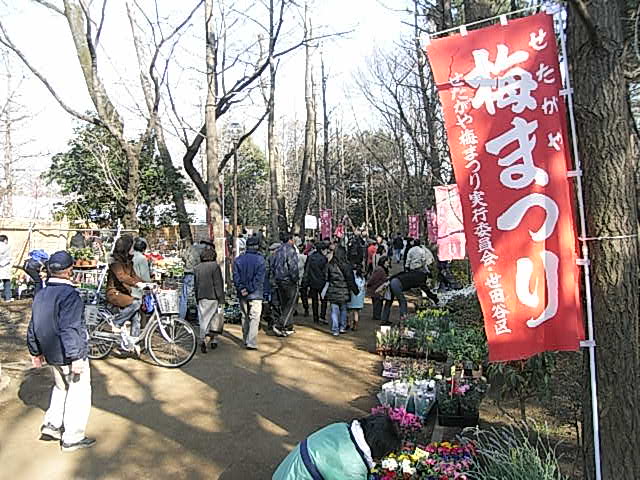 羽根木公園 せたがや梅まつり 今日の下高井戸 07年から18年まで